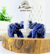 Sodalite Elephant