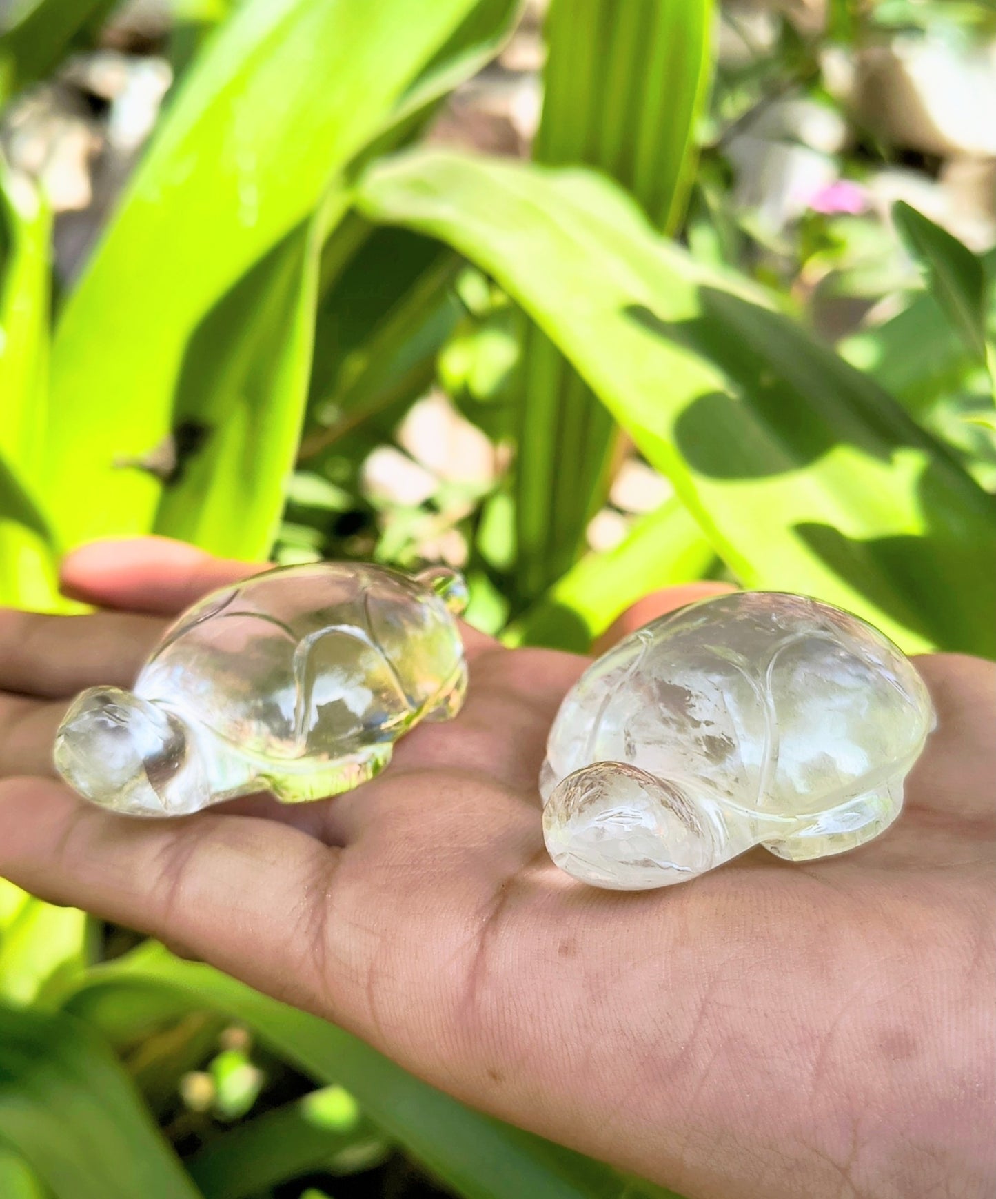 Clear Quartz Tortoise