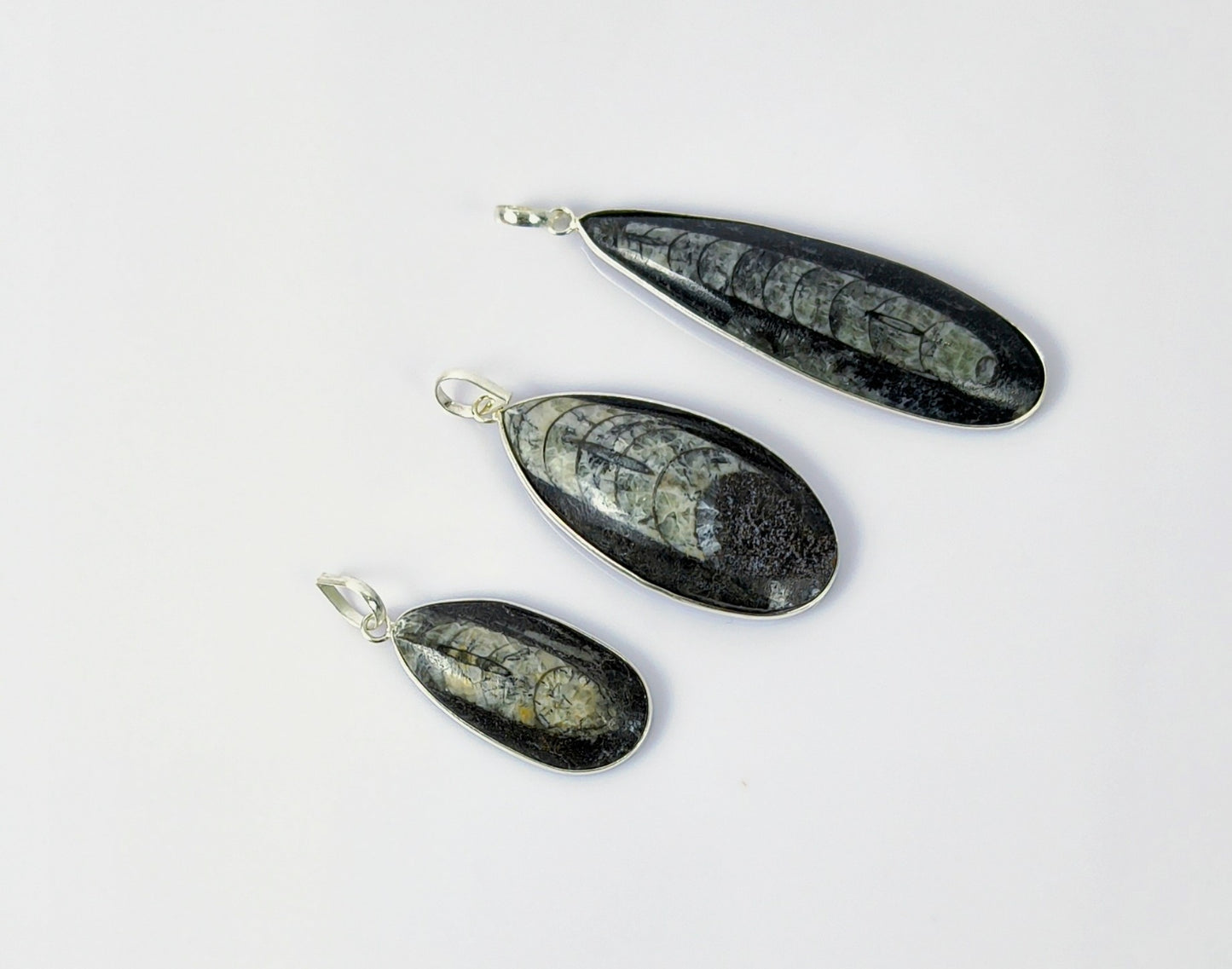 Orthoceras fossil pandent