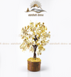 Gomati chakra tree