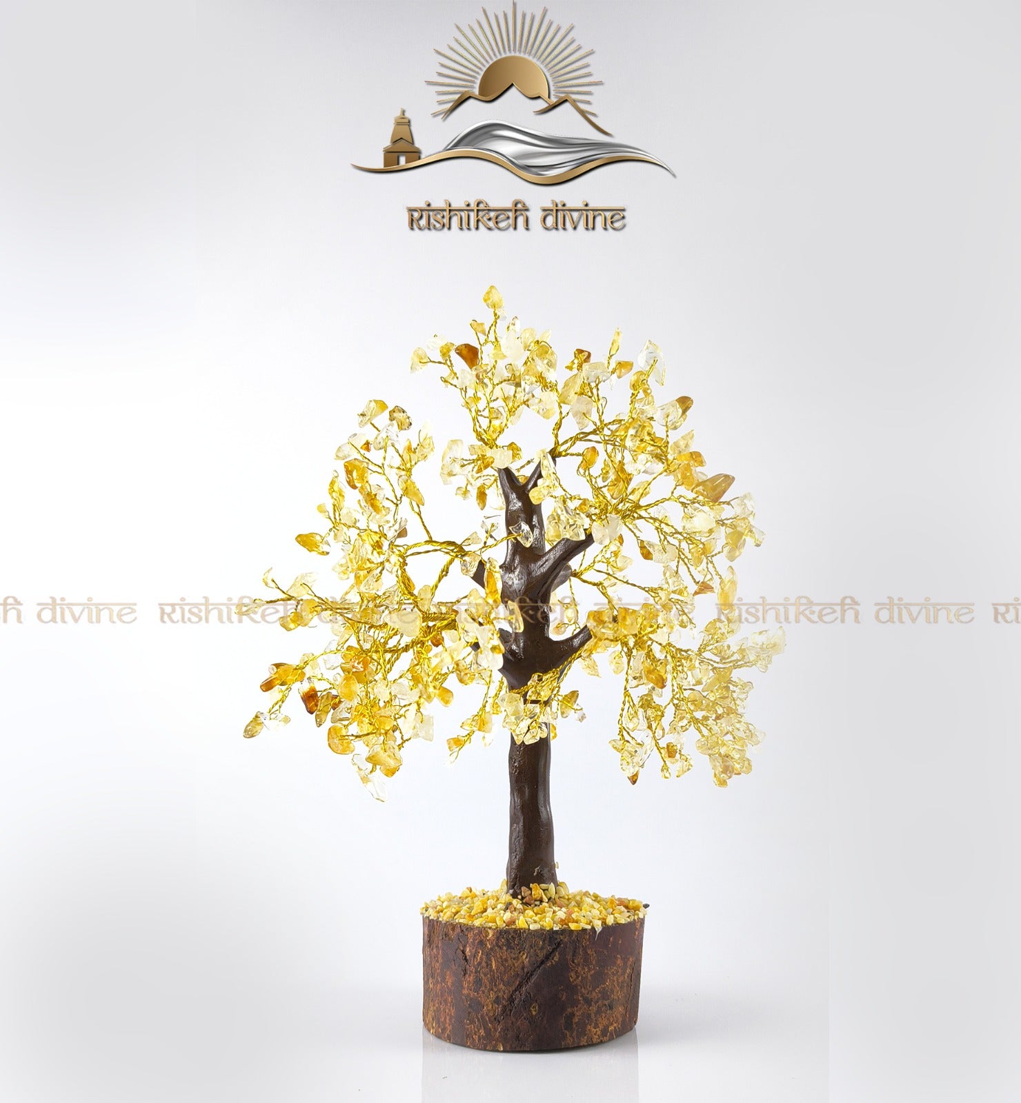 Trees In Rishikesh Trees – Rishikesh Divine