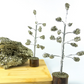 Pyrite raw stone tree