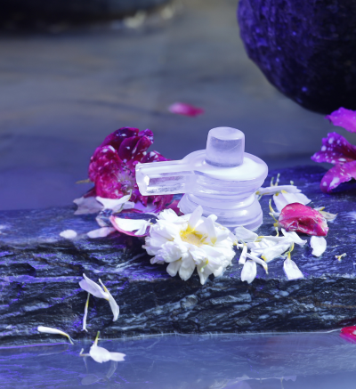 SPHATIK SHIVALINGAM