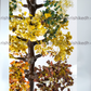 Seven chakra tree large
