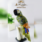Multi-stone parrot ( Large SIZE )