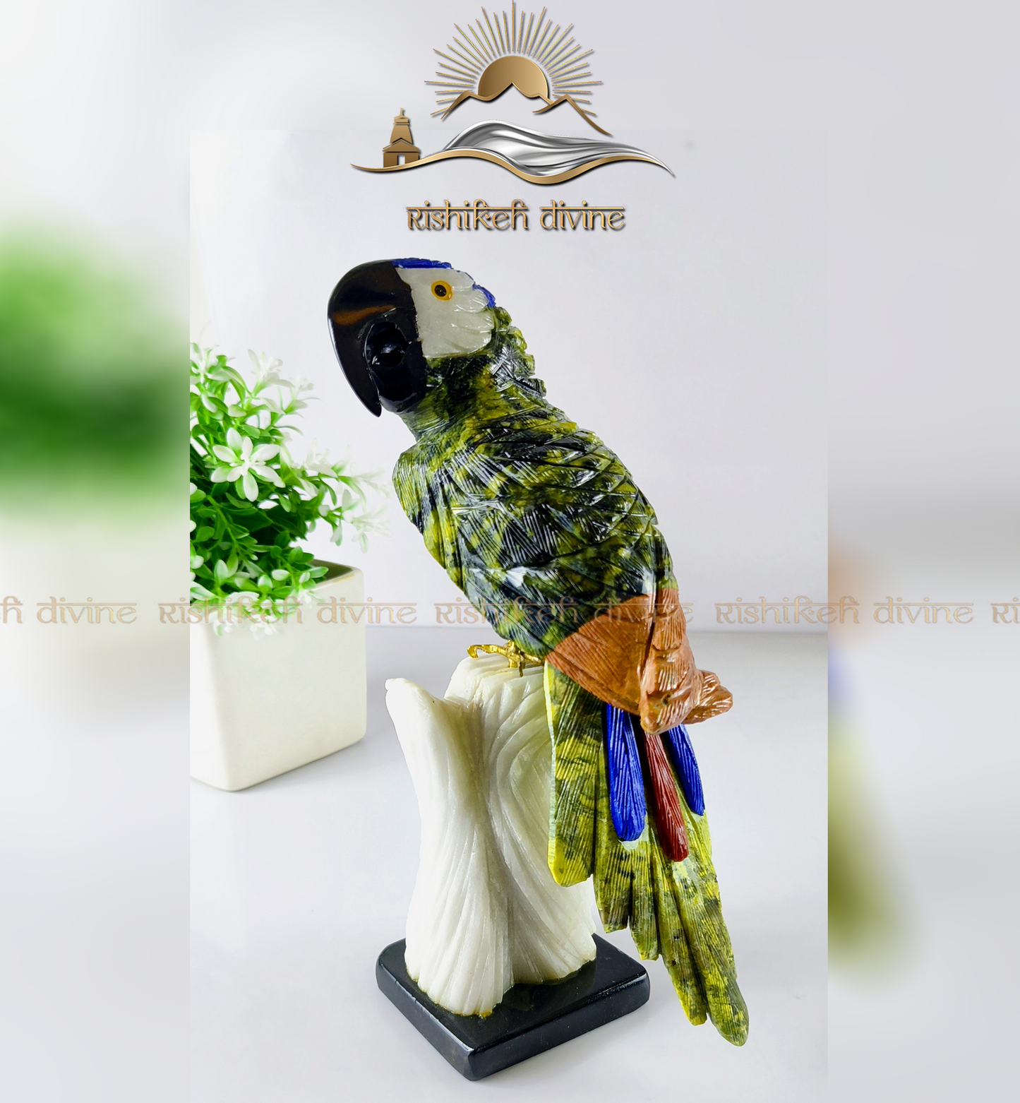 Multi-stone parrot ( Large SIZE )
