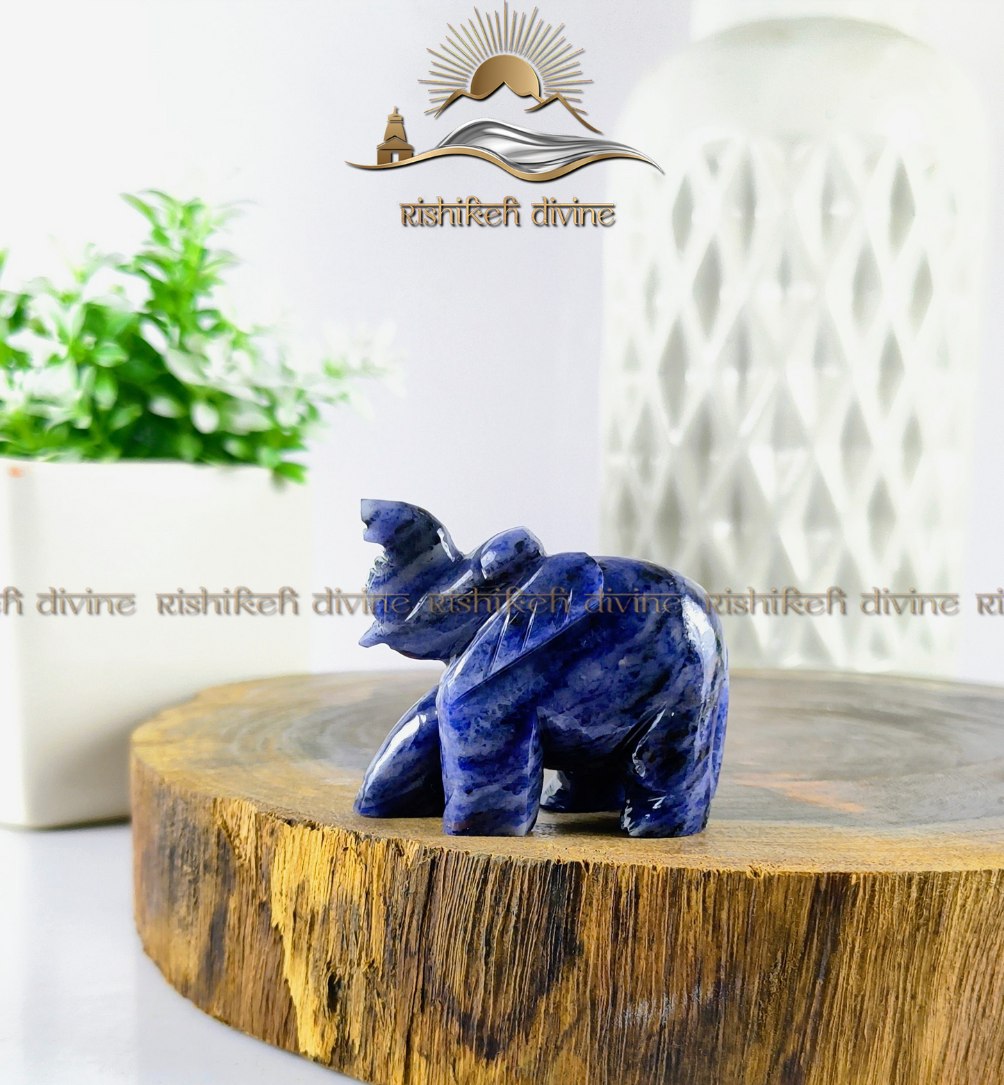Sodalite Elephant