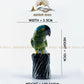 Multi-Stone Parrot