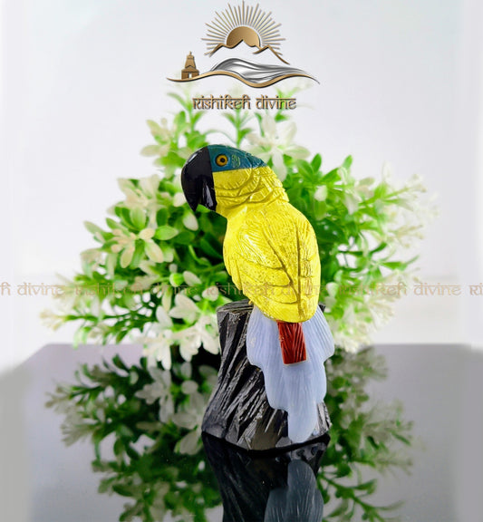 Multi-Stone Parrot