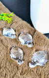Clear Quartz Tortoise
