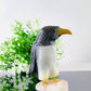 Multi-Stone Penguin