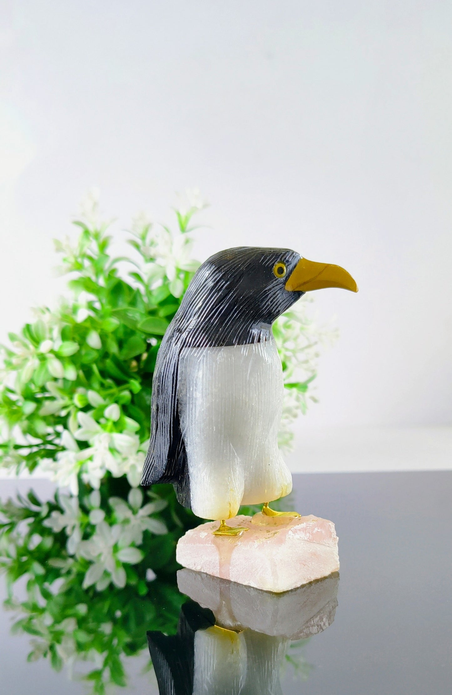 Multi-Stone Penguin