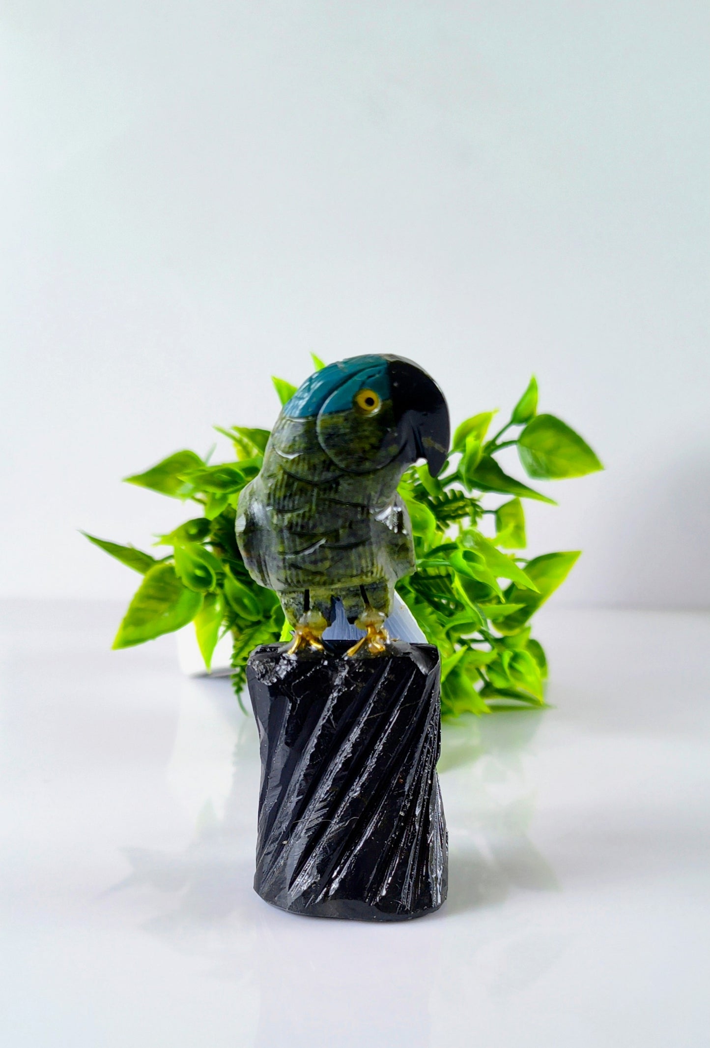 Multi-Stone Parrot