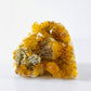 Citrine Cluster II