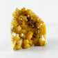 Citrine Cluster III