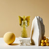Cat's eye Angel